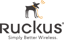 Ruckus Wireless